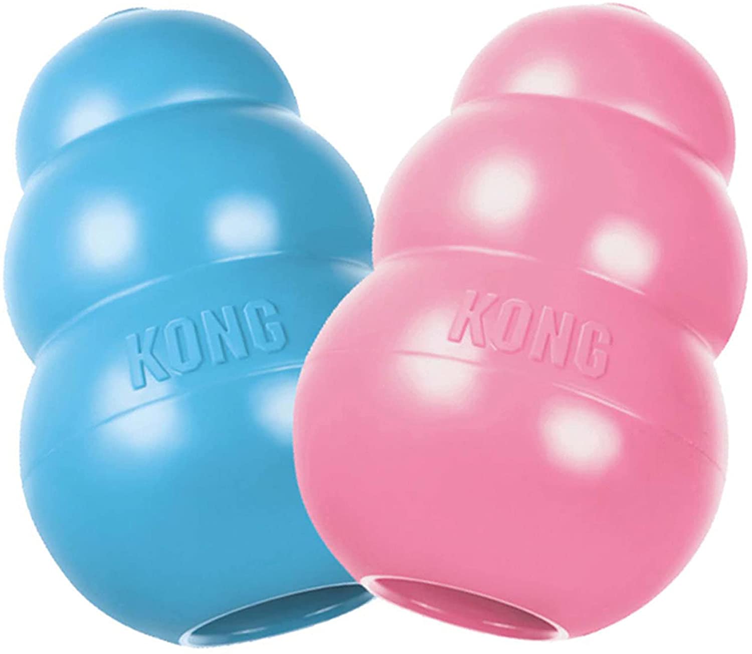 Kong Southend Dog Training